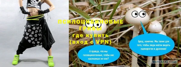 дурь Алексин