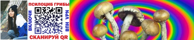 Псилоцибиновые грибы Cubensis  Ахтырский 